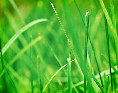 短信测压在线平台