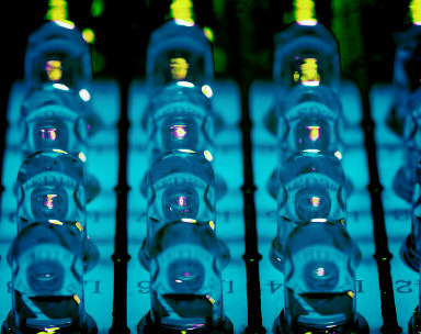 免费手机号轰炸